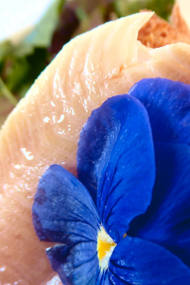 Resi_SaiblingConfiert_Blume Resi_SaiblingConfiert_Blume